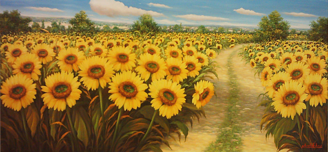 Distesa di girasoli